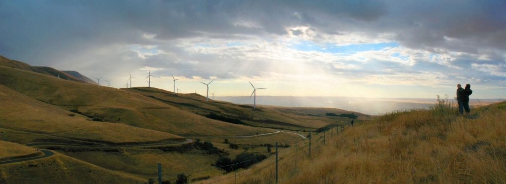 Wind farm panorama
